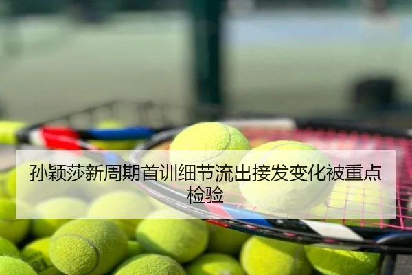 孙颖莎新周期首训细节流出接发变化被重点检验